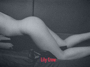 Lily_Crow