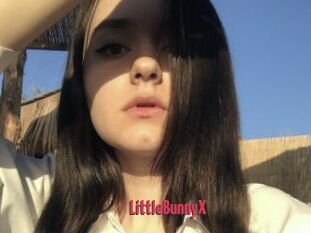 LittleBunnyX