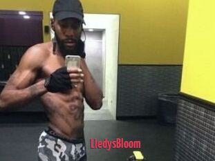 Lledys_Bloom