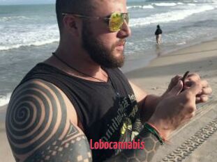 Lobocannabis