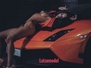 Luisamodel