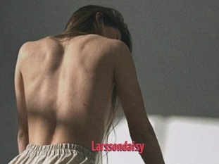 Larssondaisy