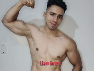 Liam_forest