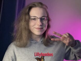 Lillybambus