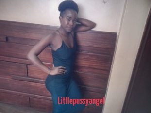 Litllepussyangel