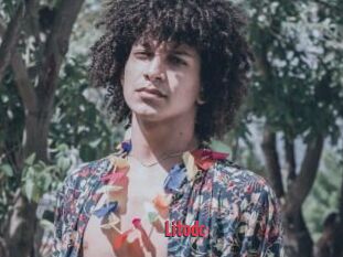 Litodc