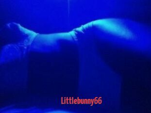Littlebunny66
