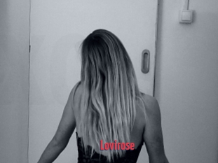 Lovirose