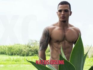 MATIUS_COSLINK