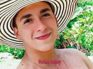 Mateo_Bunny