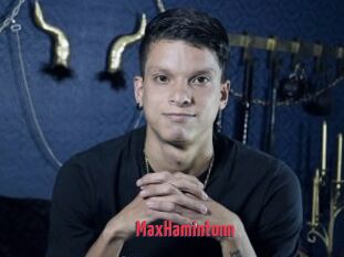 MaxHamintonn