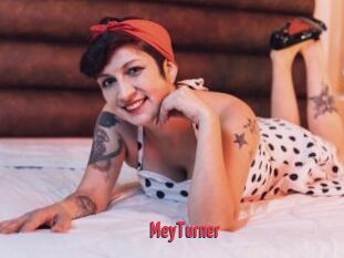 MeyTurner