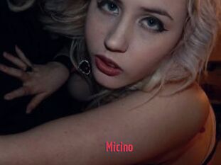 Micino