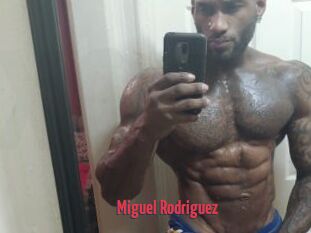 Miguel_Rodriguez