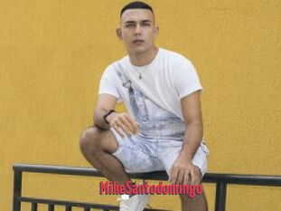 MikeSantodomingo