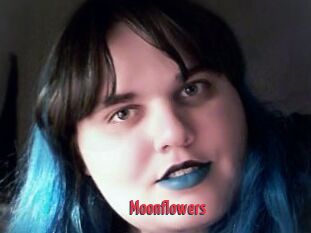 Moonflowers