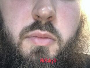 MrHairyJr