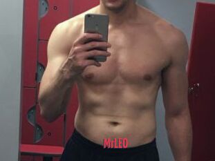 MrLEO