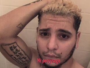 Mr_pervysage