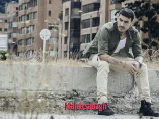 Malek_sabagh