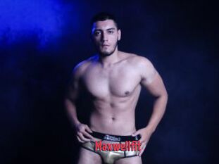 Maxwellfit