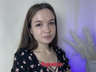Megandryer