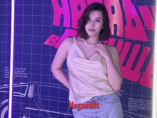 Meganfelt
