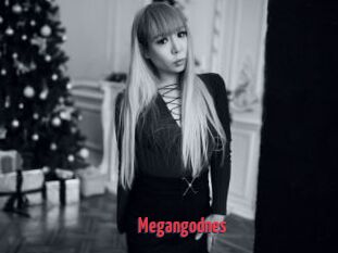 Megangodnes