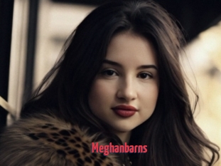 Meghanbarns