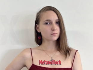 Metawillock