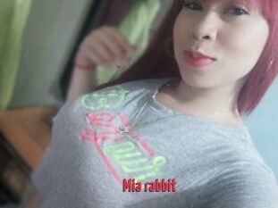 Mia_rabbit