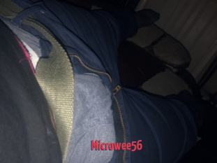 Microwee56