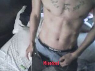 Mierdoel