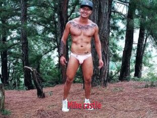 Mike_castle
