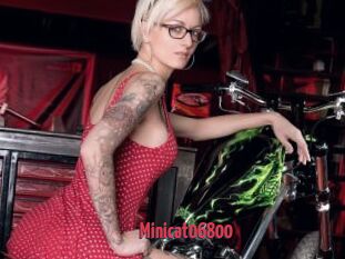 Minicat06800