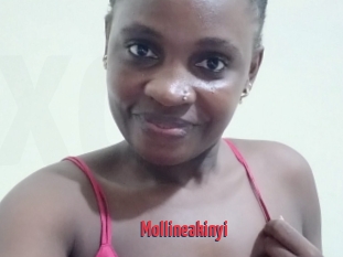 Mollineakinyi