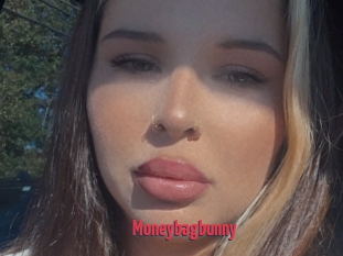 Moneybagbunny