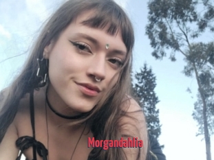 Morgandahlia