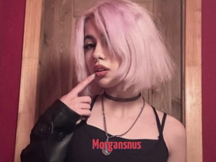 Morgansnus
