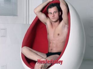 Musclestanley