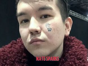 NATE_SPARKS
