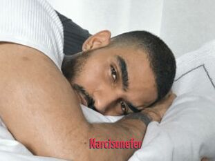 Narcisonefer