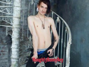 NaughtyBunnyBoy
