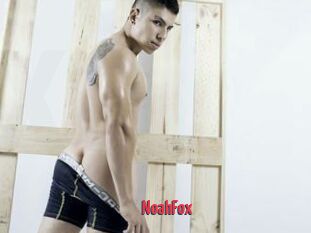 NoahFox