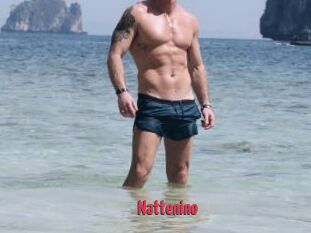 Nattenino