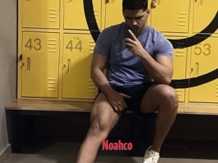 Noahco