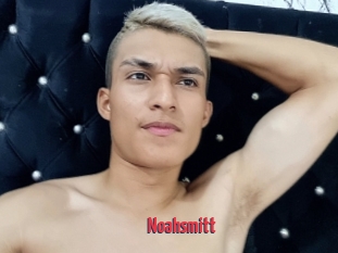 Noahsmitt
