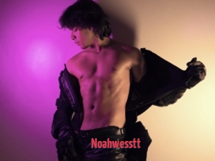 Noahwesstt