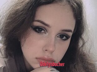 Odelynbucher