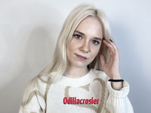 Odiliacrosier
